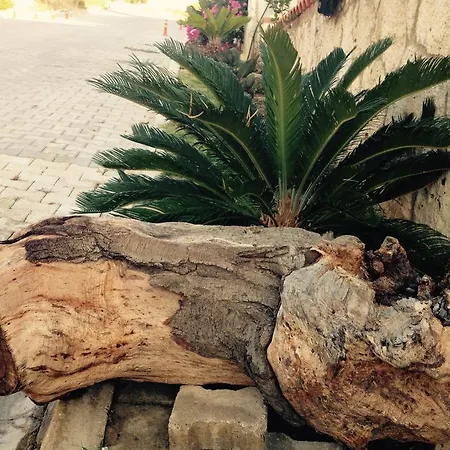 Pasha Port & Restaurant 3*