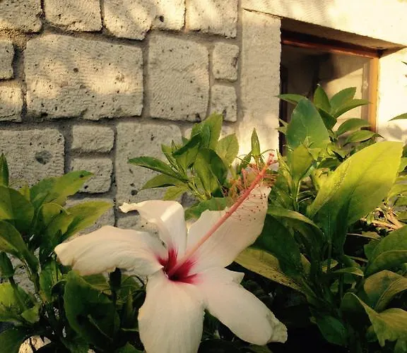 Pasha Port & Restaurant Alaçatı