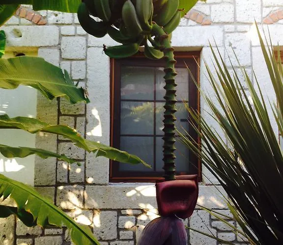 Hotell Pasha Port & Restaurant 3*