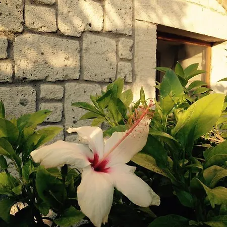 Pasha Port & Restaurant Alacati