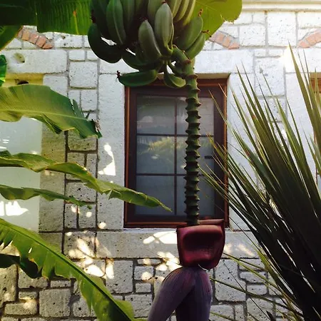 Hotel Pasha Port & Restaurant 3*