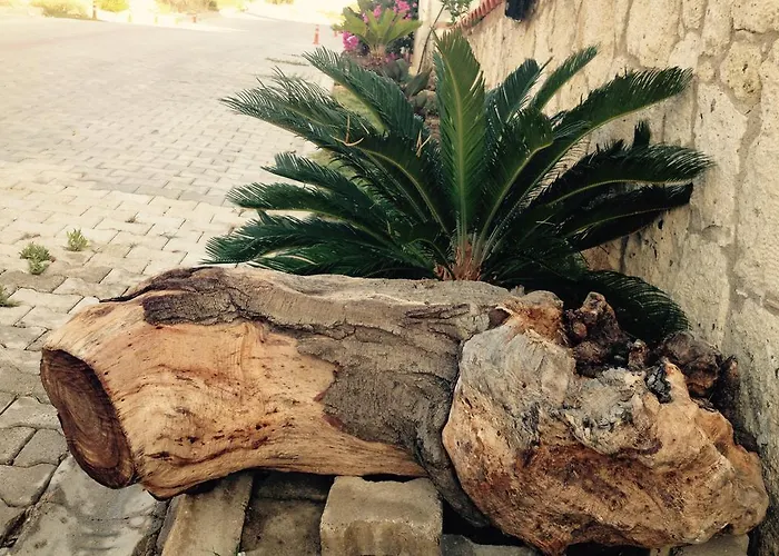 Pasha Port & Restaurant 3*